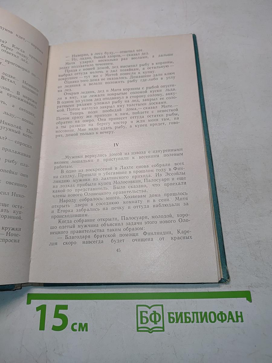На берегу Самозера