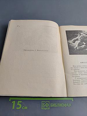 Кинули
