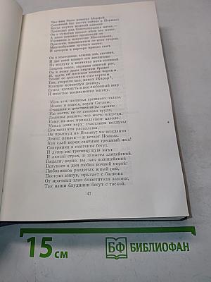 Орлеанская девственница