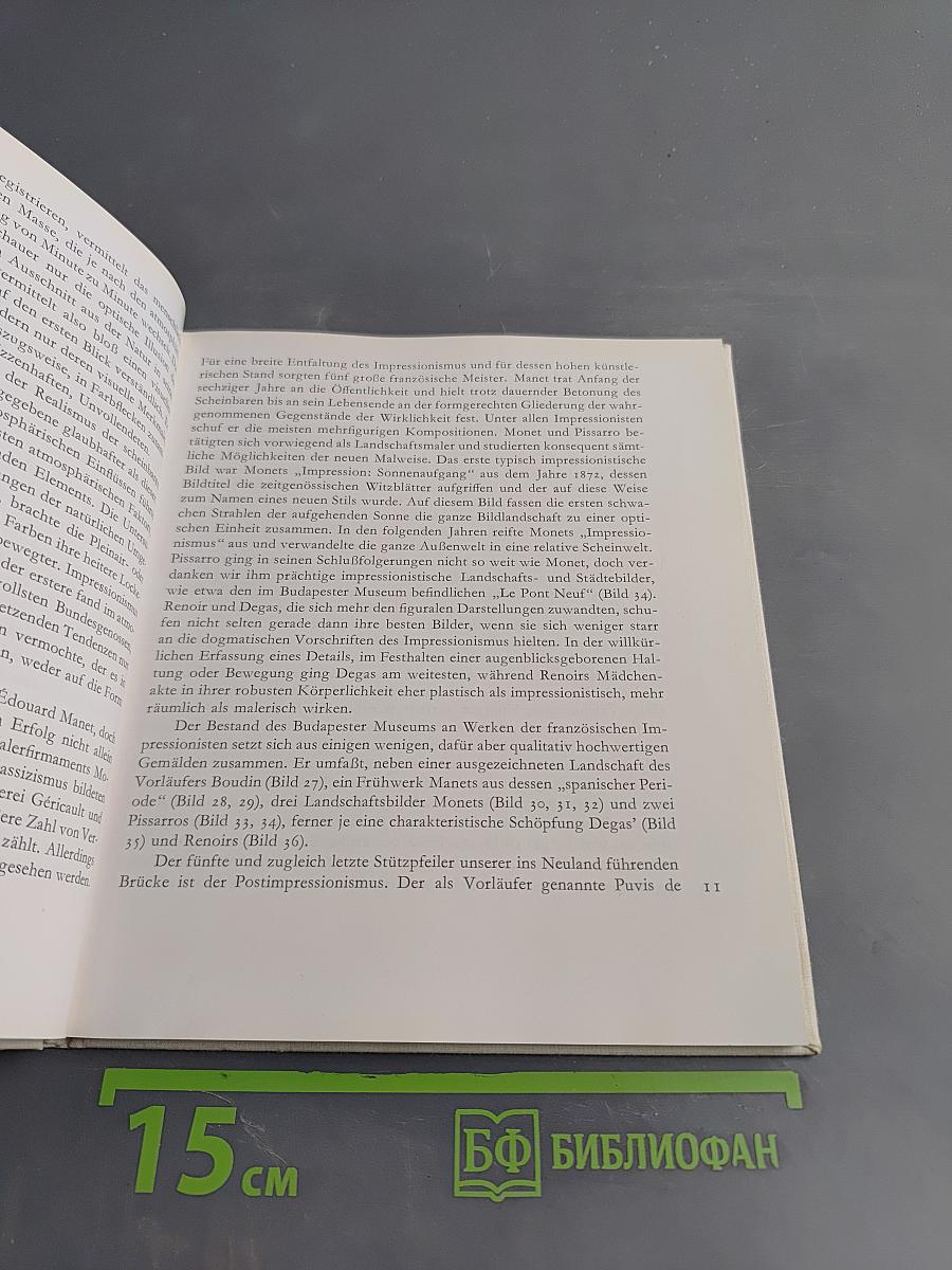 Die große Zeit der neuen französischen Malerei