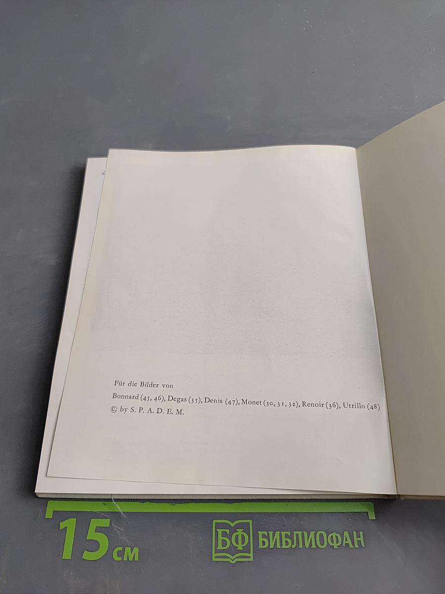 Die große Zeit der neuen französischen Malerei