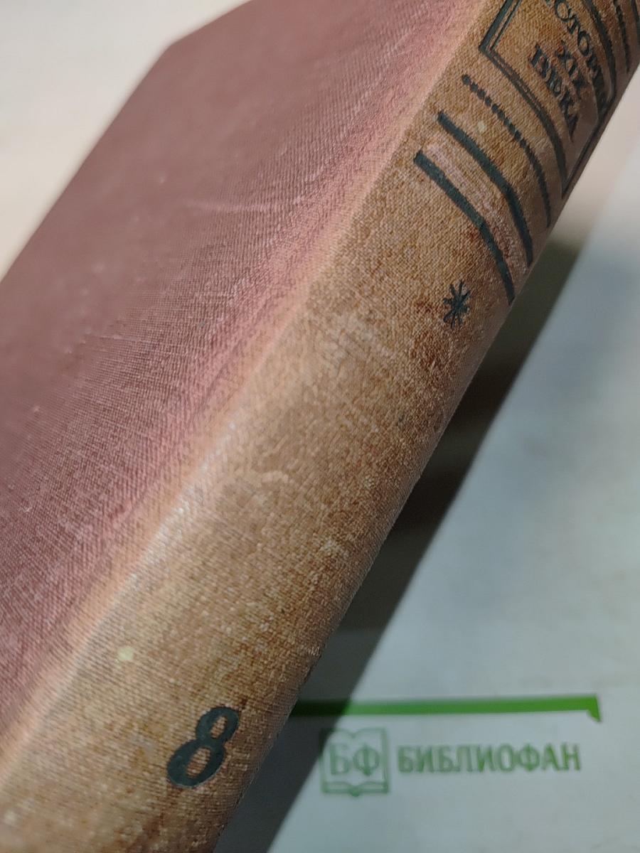 История XIX века. Часть вторая. Конец века. 1870-1900