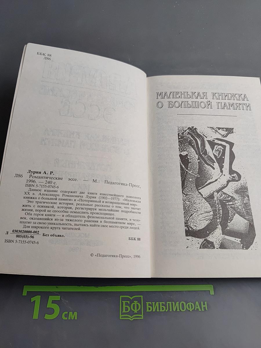 Романтические эссе
