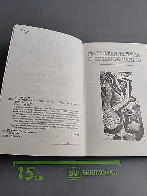 Романтические эссе