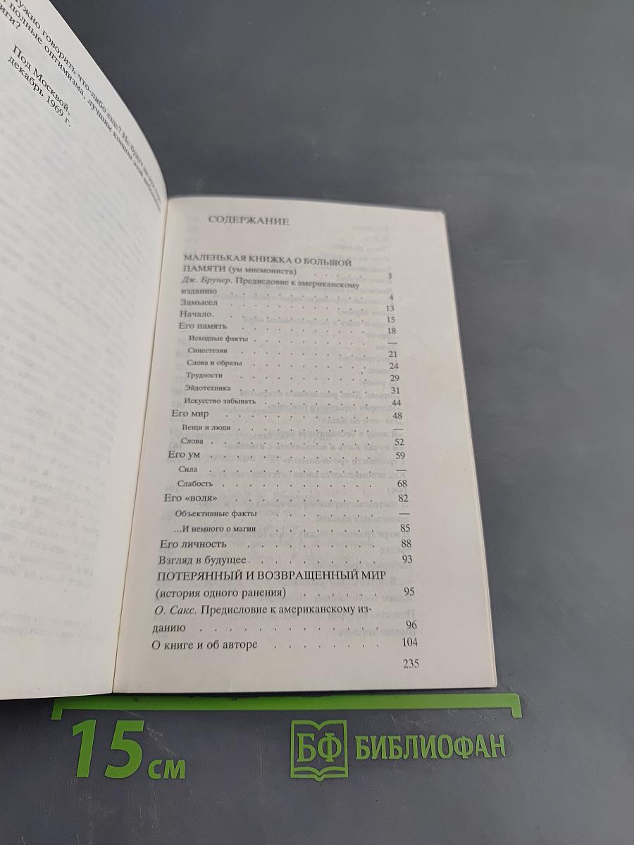 Романтические эссе