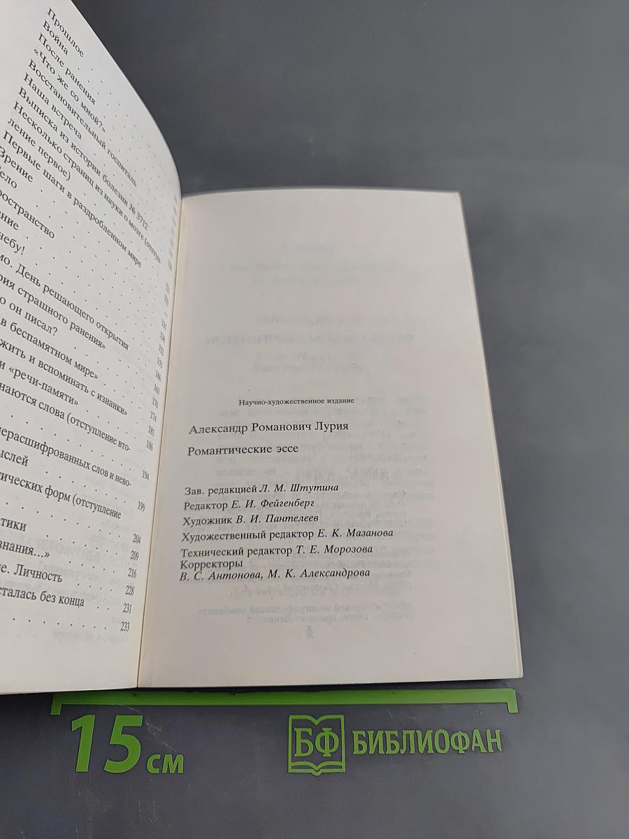 Романтические эссе