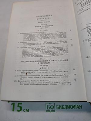 История XIX века. Том 7