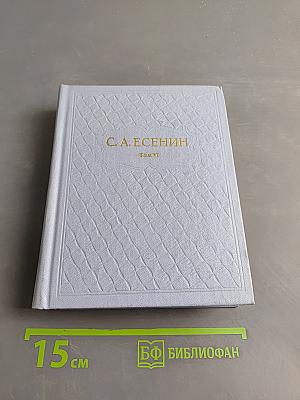 Собрание сочинений. Том 6. Письма