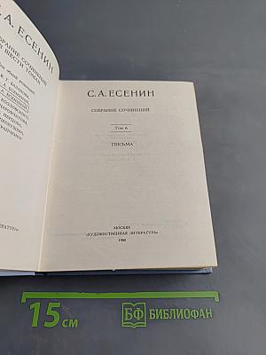 Собрание сочинений. Том 6. Письма