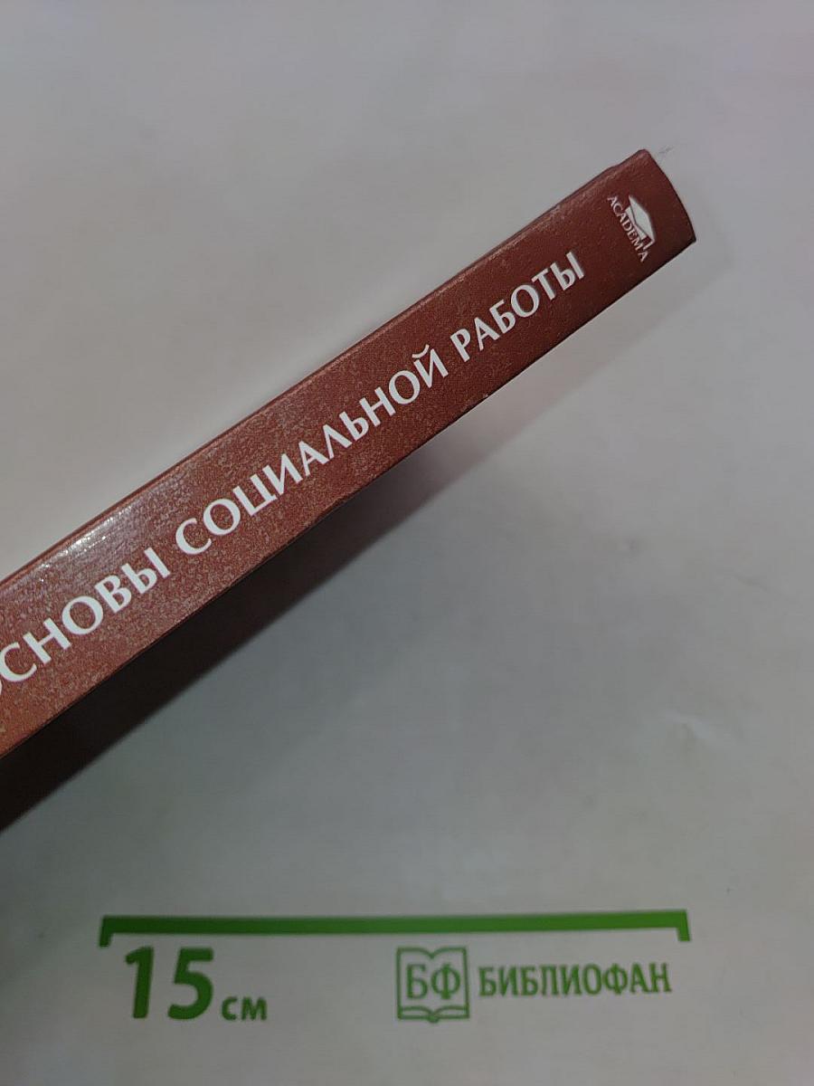 Основы социальной работы