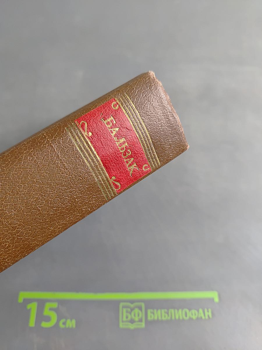Человеческая комедия. Том 5