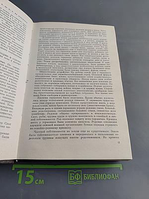 История средних веков