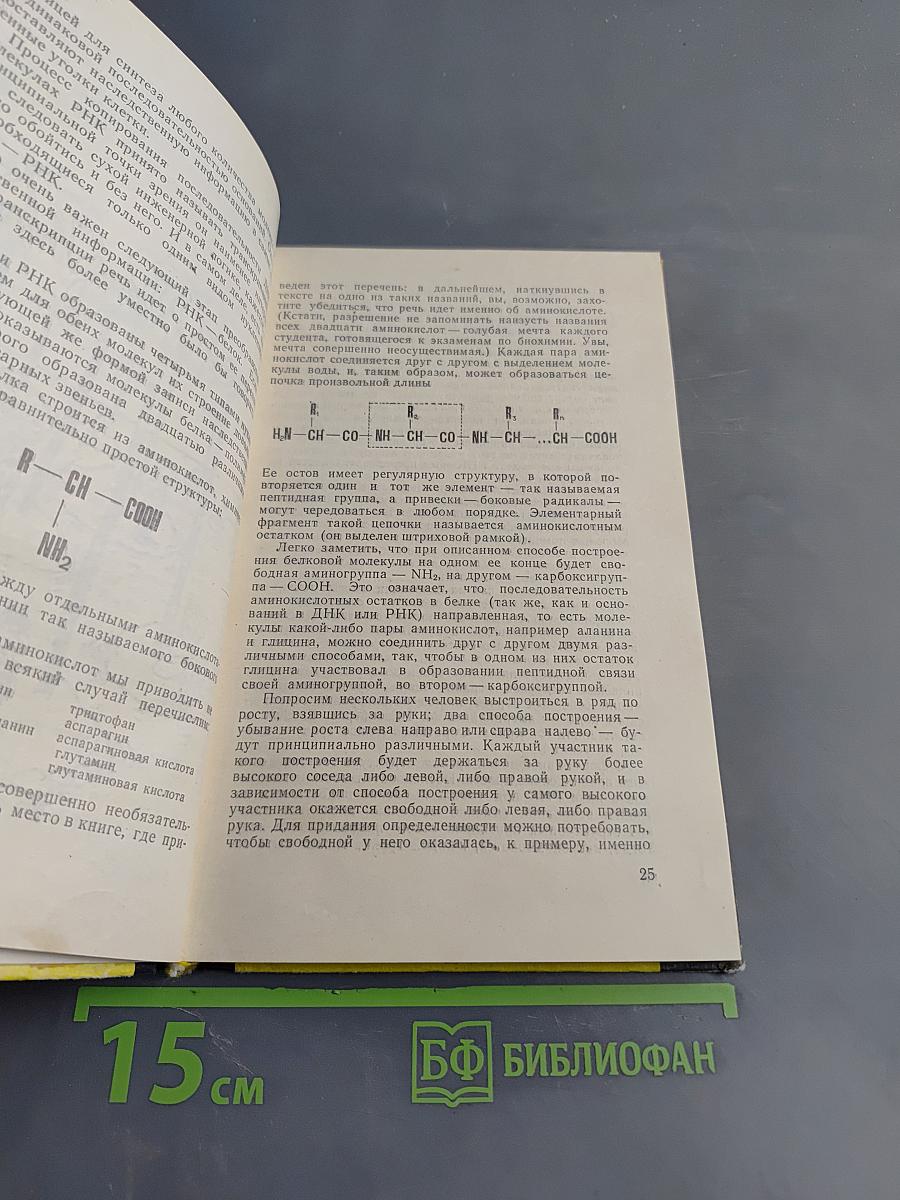 Беседы о жизни