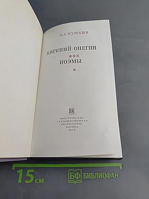 Евгений Онегин. Поэмы