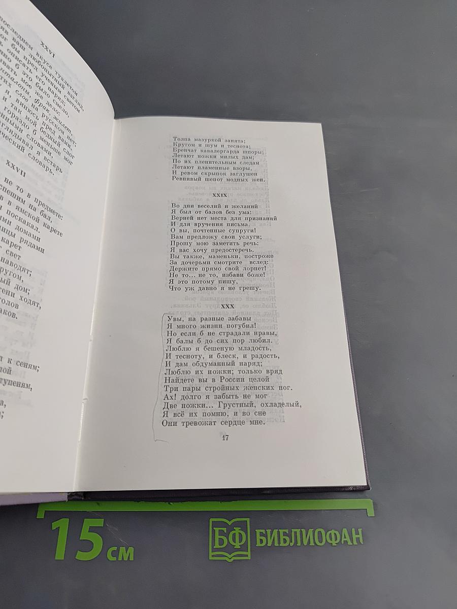 Евгений Онегин. Поэмы