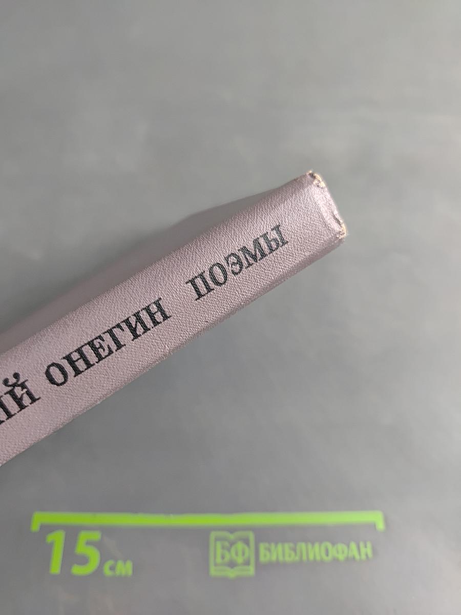 Евгений Онегин. Поэмы