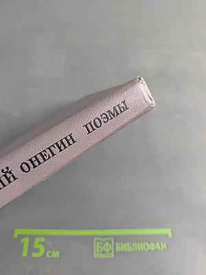 Евгений Онегин. Поэмы