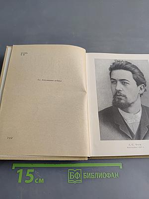 Из жизни А. П. Чехова. Дом в Кудрине