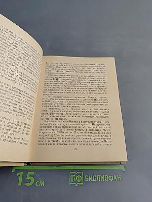 Из жизни А. П. Чехова. Дом в Кудрине
