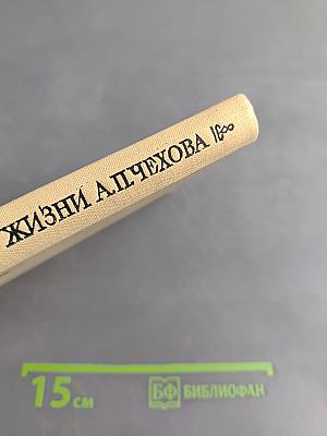 Из жизни А. П. Чехова. Дом в Кудрине