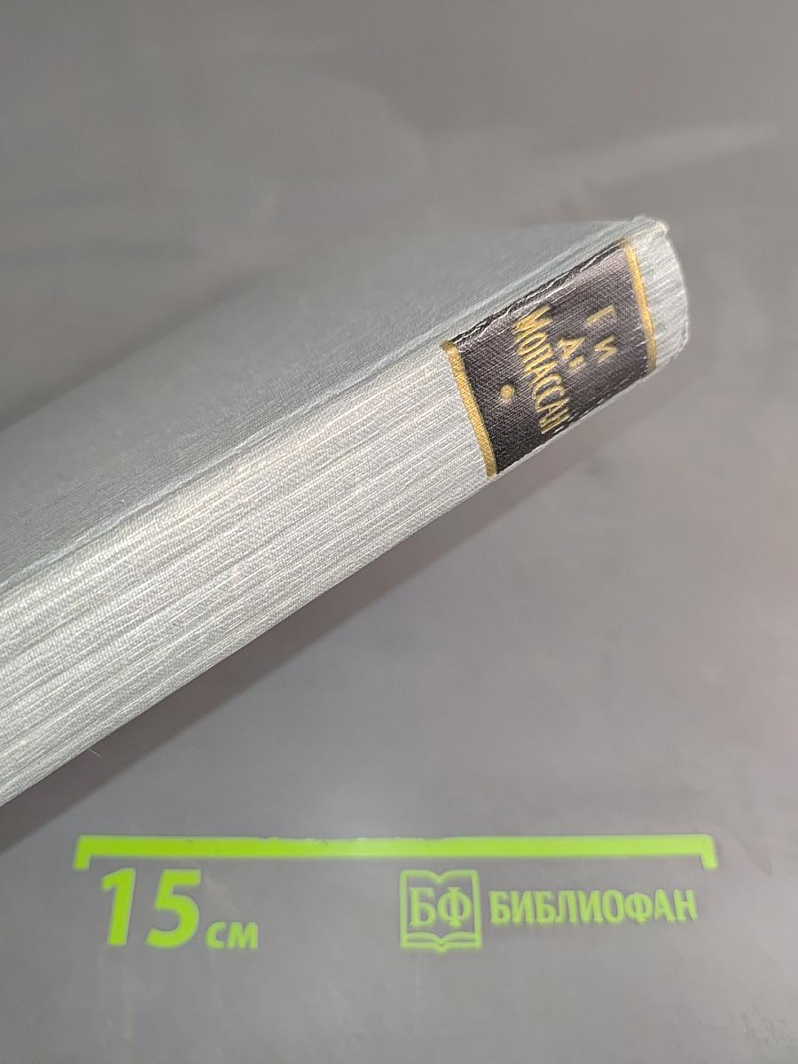 Полное собрание сочинений в двенадцати томах. Том 4