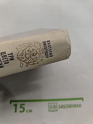 Три цвета времени