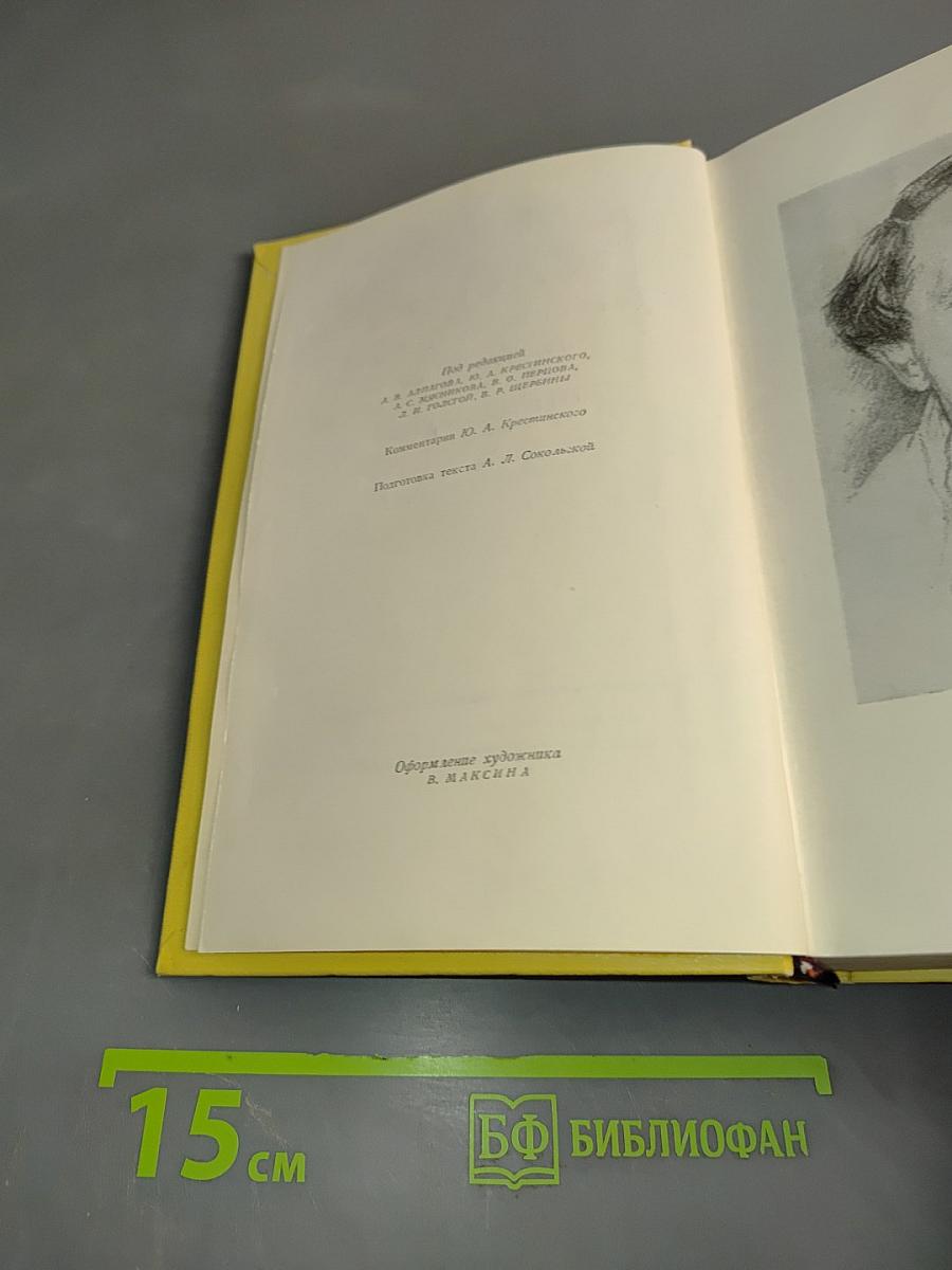 Собрание сочинений. Том четвертый. Повести и рассказы 1925-1928. Гиперболоид инженера Гарина