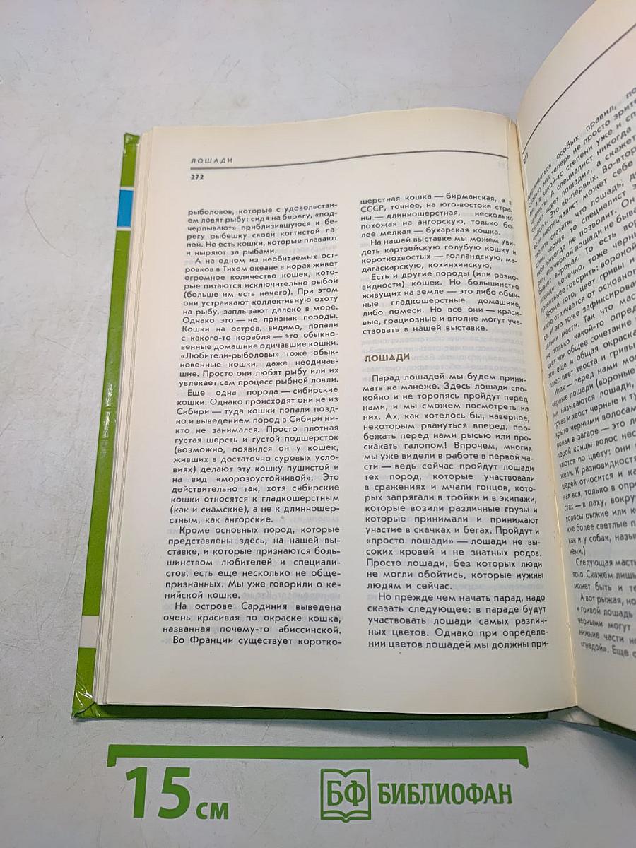 Соседи по планете. Домашние животные