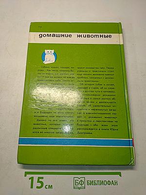 Соседи по планете. Домашние животные