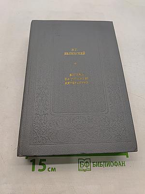 Взгляд на русскую литературу