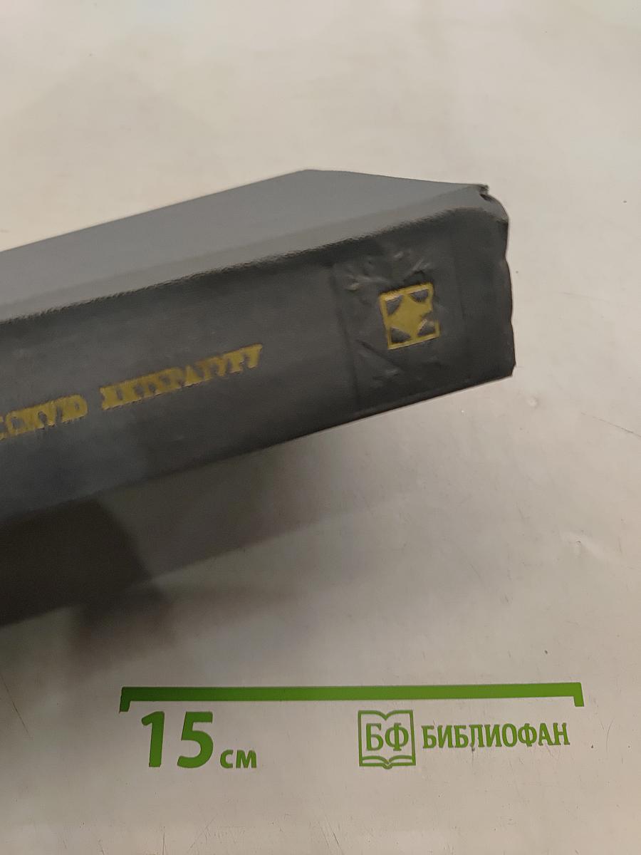 Взгляд на русскую литературу