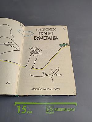Полет бумеранга