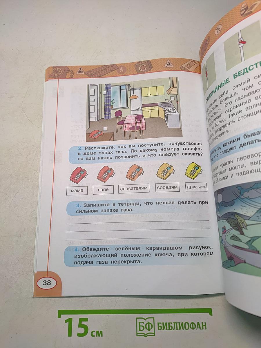 Окружающий мир. Основы безопасности жизнедеятельности. Рабочая тетрадь 3 класс