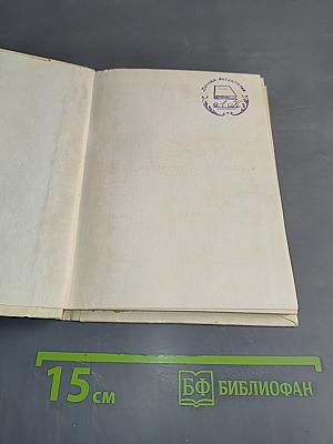 О смелом всаднике. Рассказы о писателе
