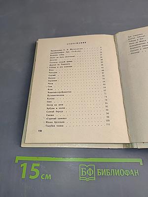 О смелом всаднике. Рассказы о писателе