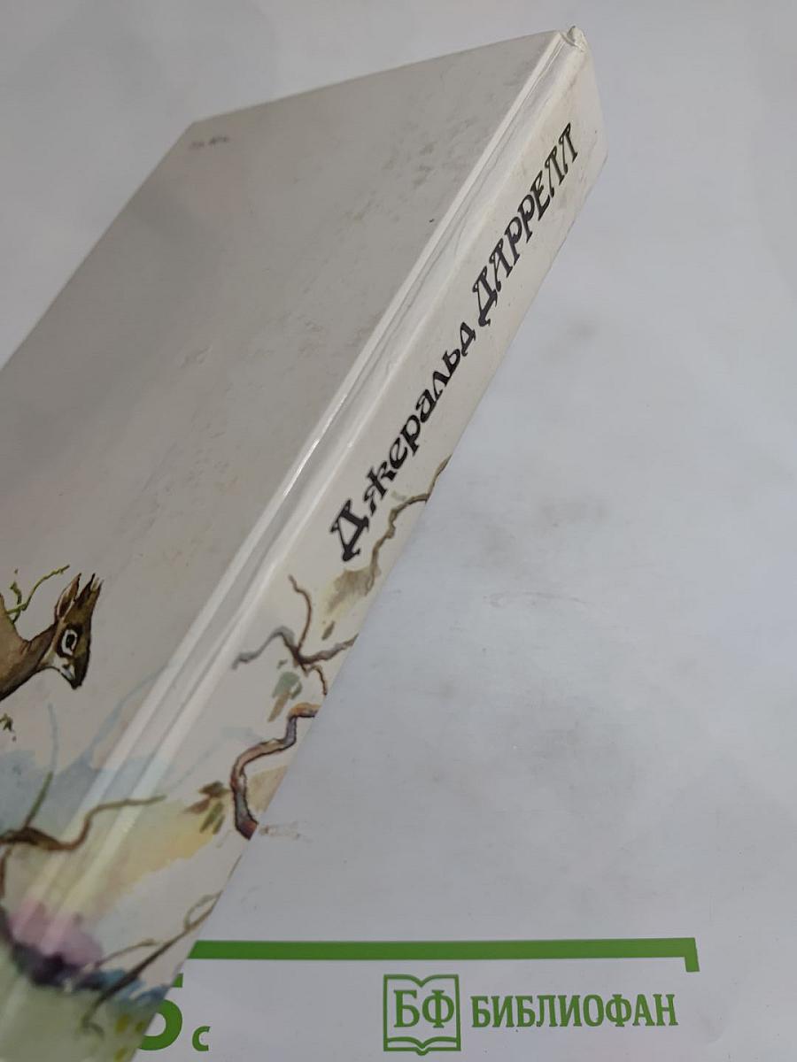 Под пологом пьяного леса