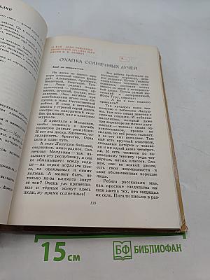 Круглый год