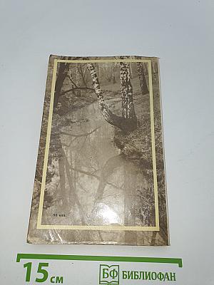 Сергей Есенин. Воспоминания родных