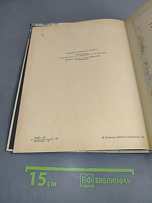 Оляпка-7