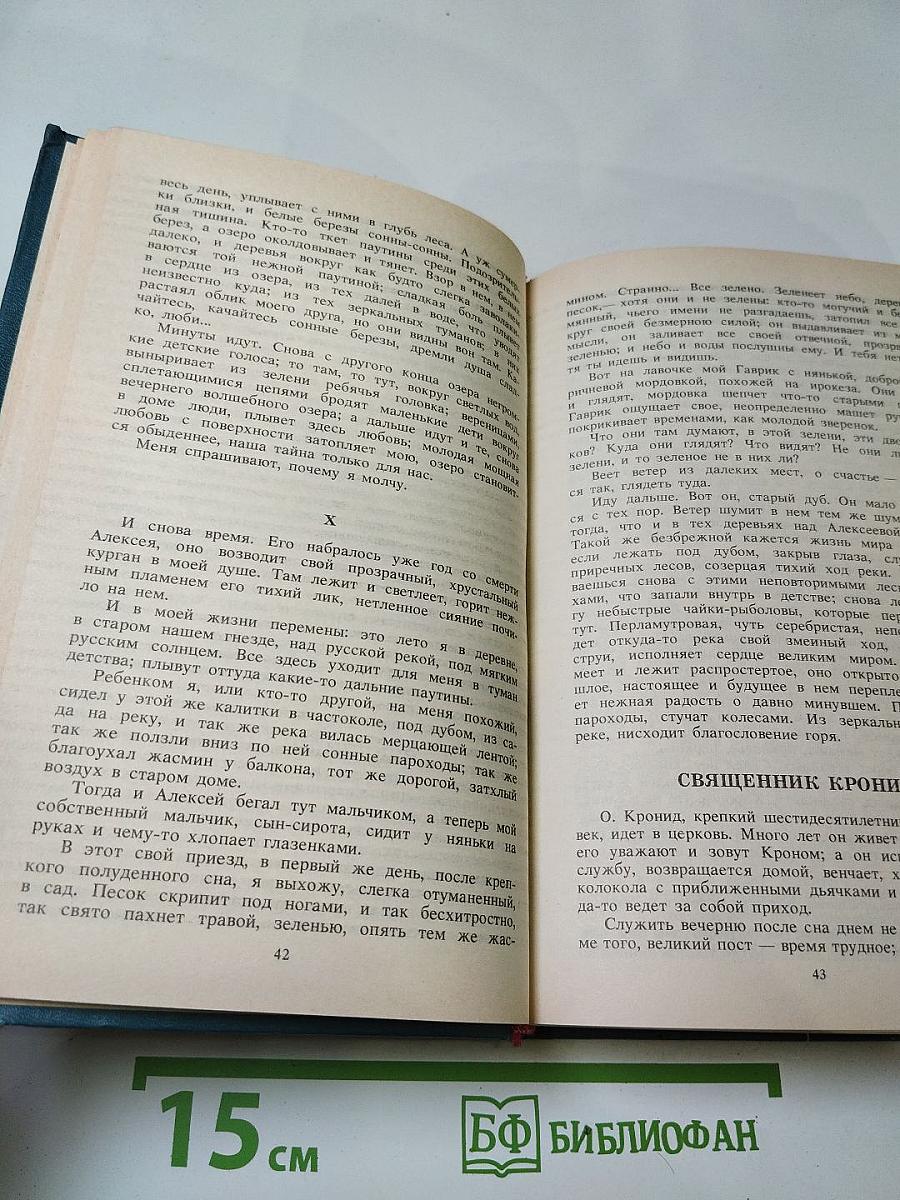 Земная Печаль