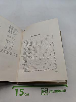 В мире слов