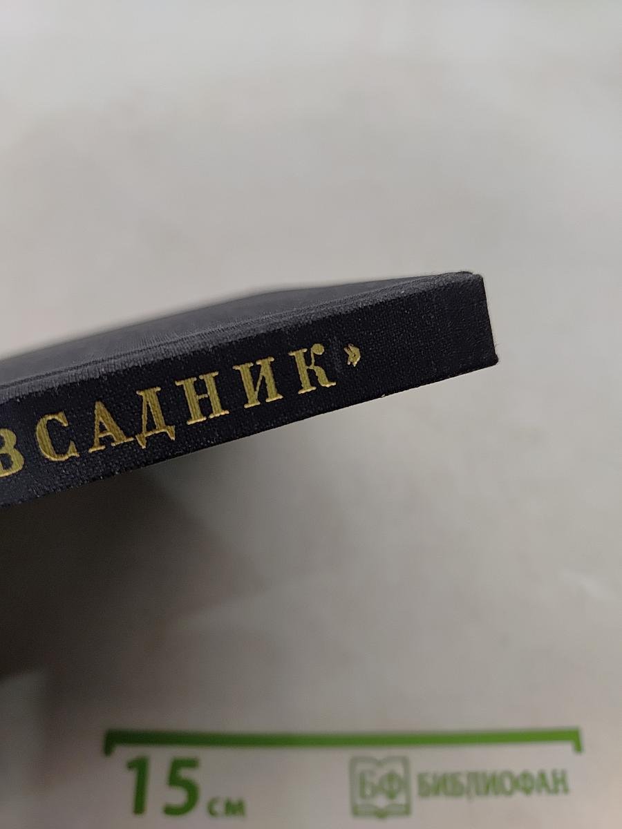 Медный всадник