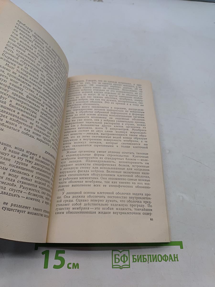 Парадоксы мозга