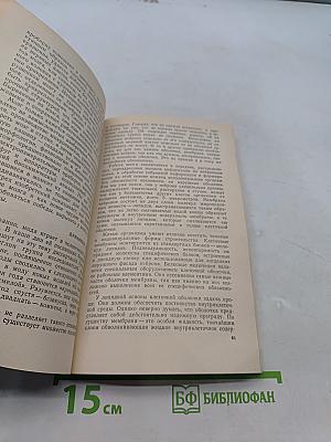 Парадоксы мозга