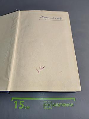 Основные начала органической химии. Том II