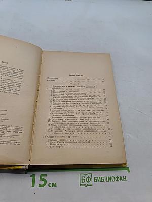 Высшая алгебра