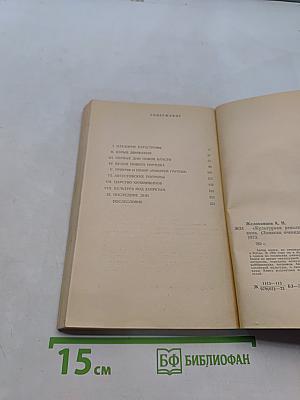 Культурная революция с близкого расстояния