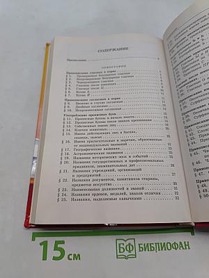 Русский язык. Орфография и пунктуация