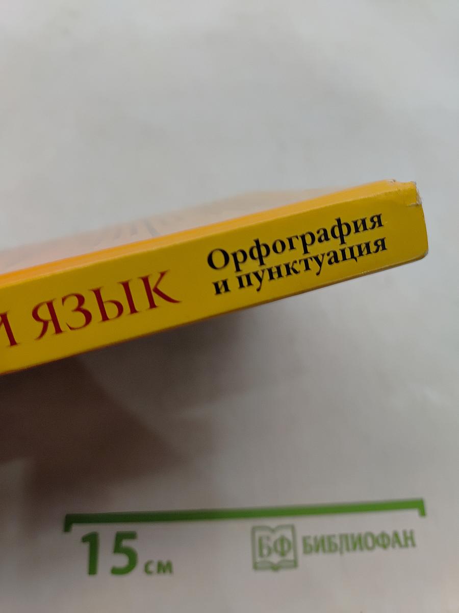 Русский язык. Орфография и пунктуация