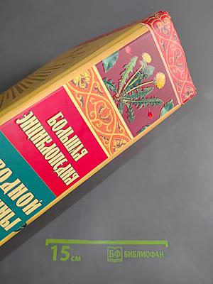 Большая энциклопедия народной медицины